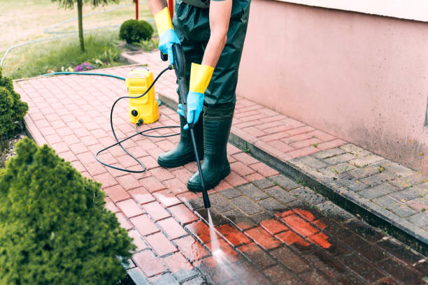 Best Roof Pressure Washing  in Rio Rico, AZ