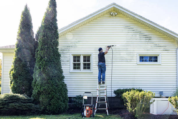 Best Residential Pressure Washing Services  in Rio Rico, AZ