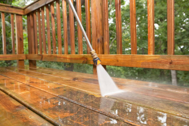 Best Garage Pressure Washing  in Rio Rico, AZ