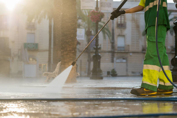 Best Sidewalk Pressure Washing  in Rio Rico, AZ