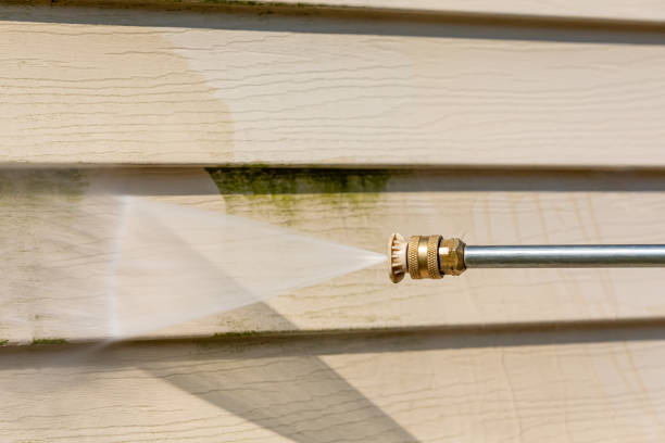 Pressure Washing Services for Businesses in Rio Rico, AZ