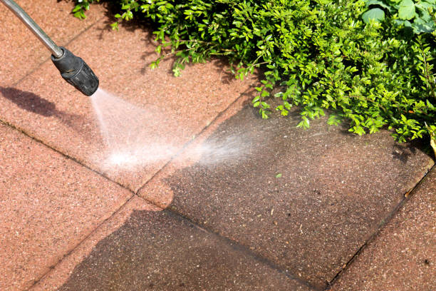 Best Pressure Washing Siding  in Rio Rico, AZ