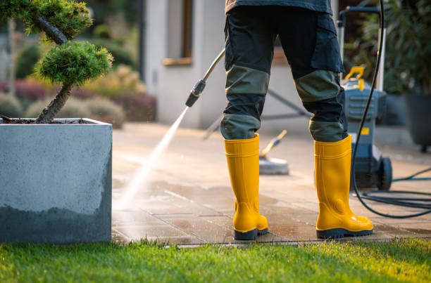 Best Concrete Pressure Washing  in Rio Rico, AZ